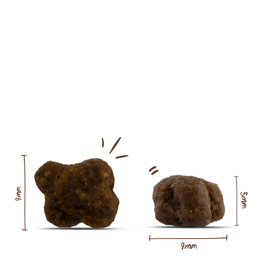 Sanabelle Heimat Kitten mit feiner Tierwohl-Pute - 400g