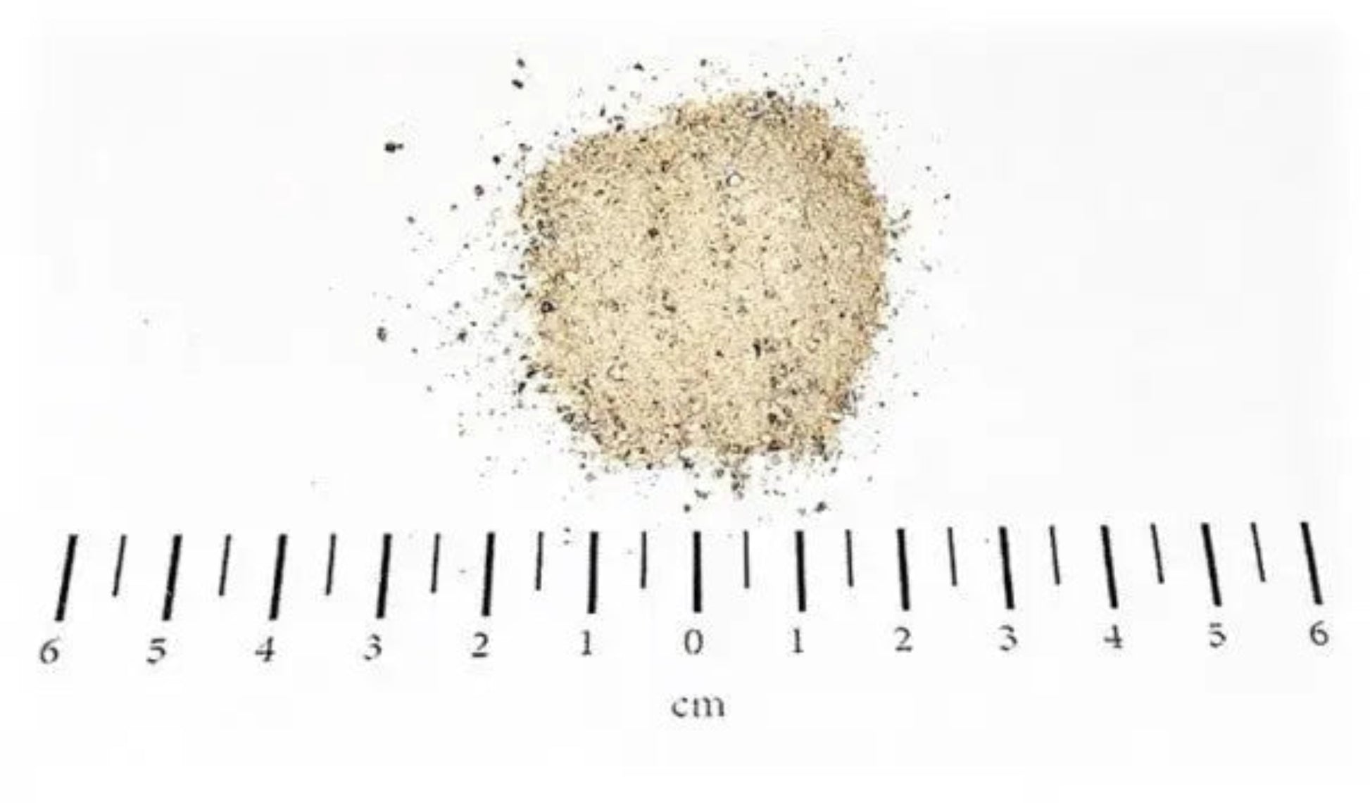 BARFER´S BEST SENIOR - Prinz Bolt Pfotenglück