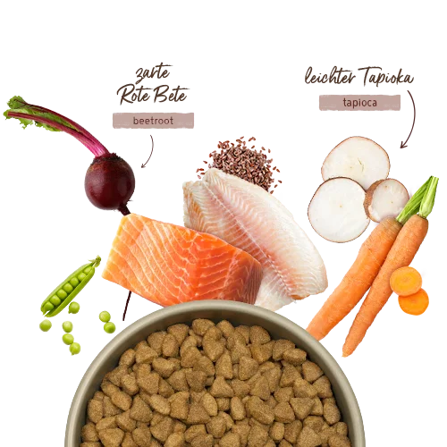 HPC Menue Adult mit Nordsee-Lachs & Forelle getreidefrei
