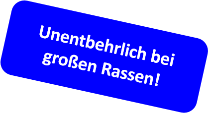 Canhydrox GAG - Prinz Bolt Pfotenglück