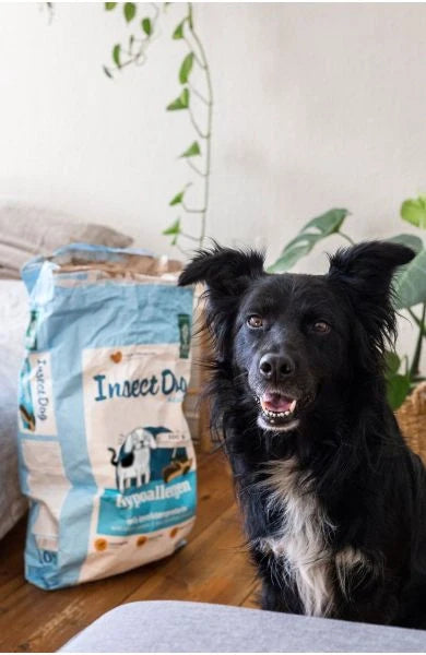 InsectDog Hypoallergen