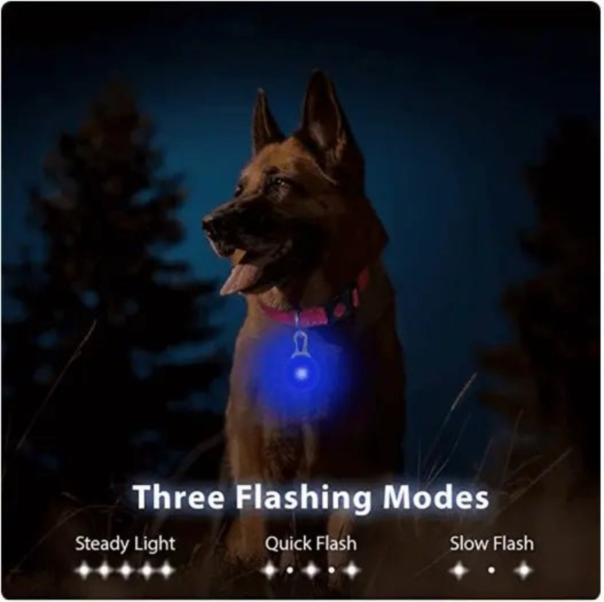 LED Halsbandanhänger wiederaufladbar per USB - Bolt´s Futterkiste