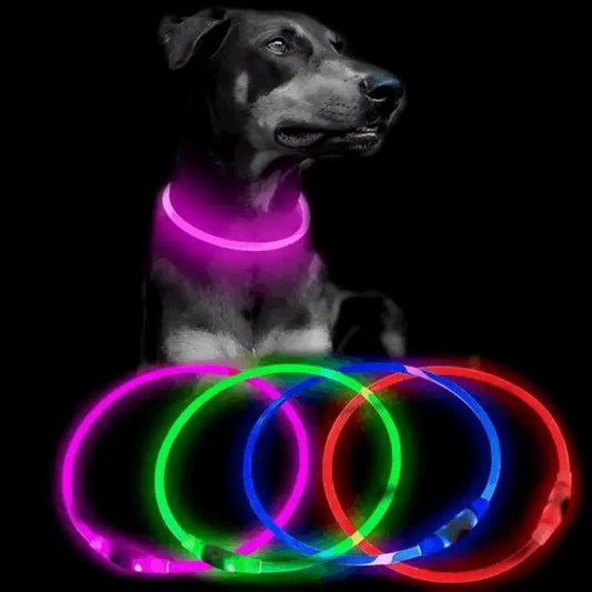 Leuchtendes wiederaufladbares Halsband mit USB - Bolt´s Futterkiste