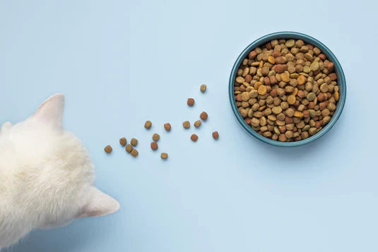 eine Katze die einer Futterspur hinterher läuft