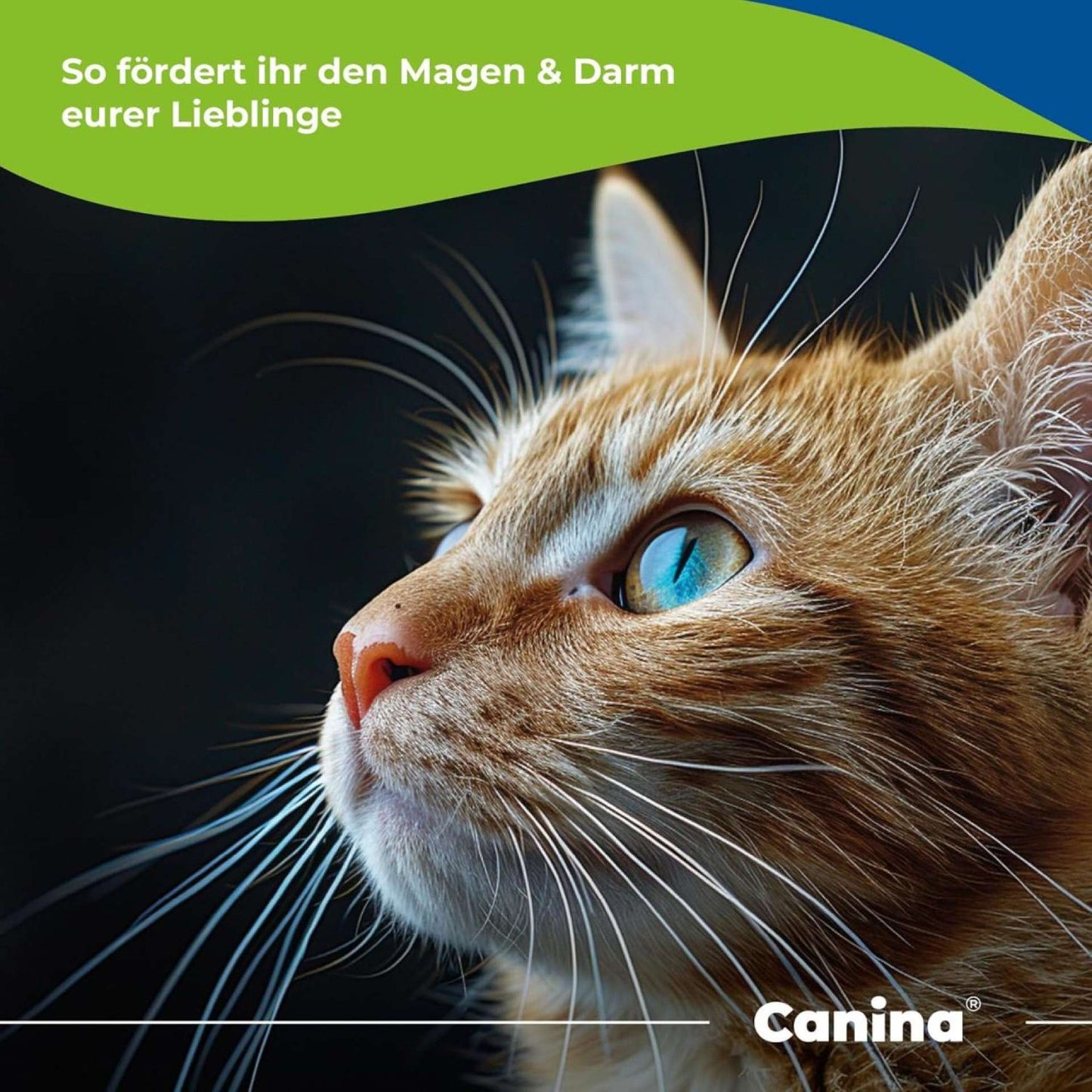 Canina Moortränke 250 ml