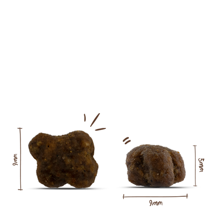 Sanabelle Heimat Kitten mit feiner Tierwohl-Pute - 400g