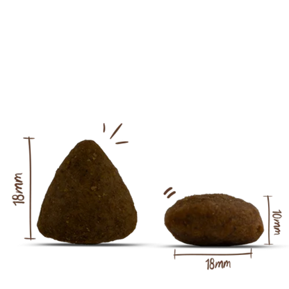 Bosch HPC Menue Adult Nordsee-Lachs Kroketten – Premium getreidefreies Hundefutter