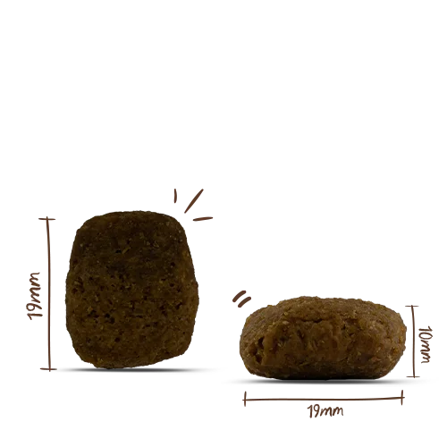 HPC Menue Adult mit Rind, Leber & Pansen