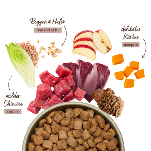 HPC Menue Adult mit Rind, Leber & Pansen