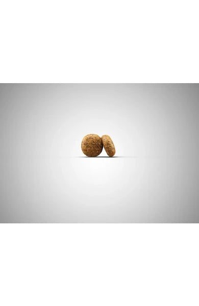 Josera Miniwell Trockenfutter Pellets Nahaufnahme